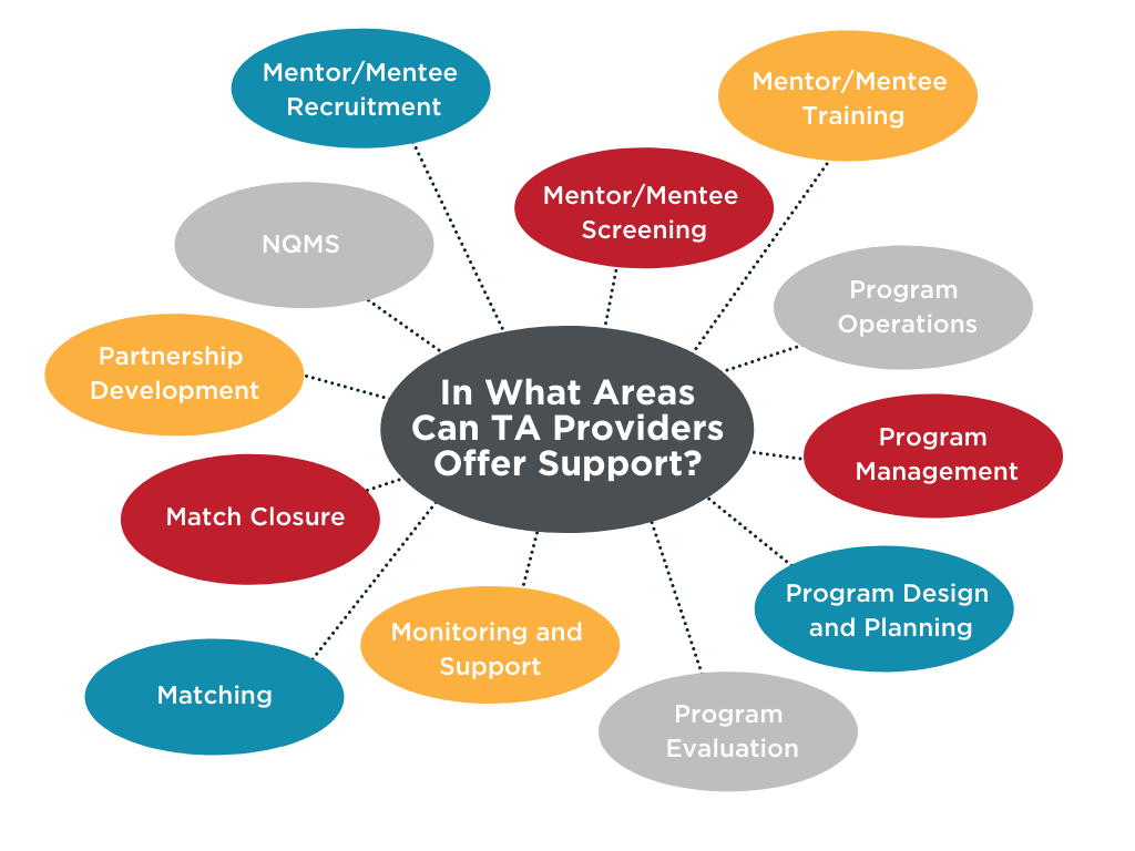 In what areas can TA providers offer support? Mentor/mentee recruitment, screening, and training, program operations, management, design and planning, and evaluation, monitoring and support, matching, match closure, partnership development, and NQMS.